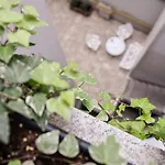 Apartament No 6 Timișoara