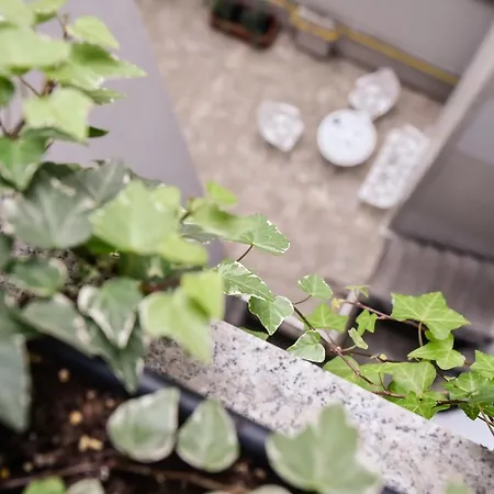 Διαμέρισμα No 6 Τιμισοάρα