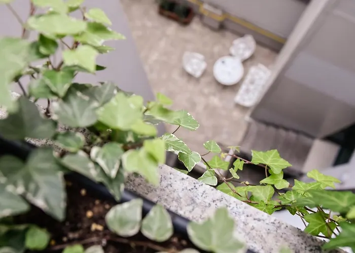 דירה No 6 טימישוארה