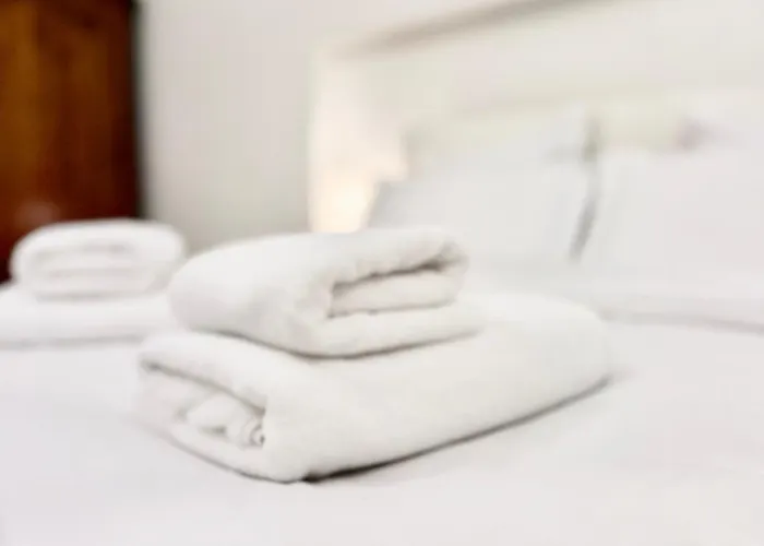 No 6 * טימישוארה