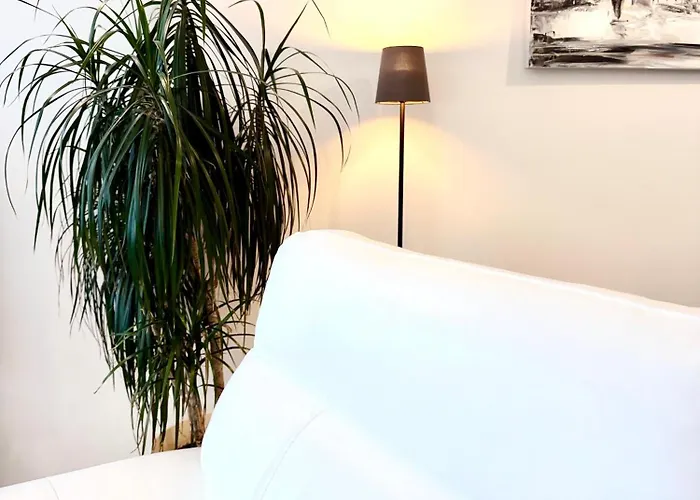 No 6 טימישוארה